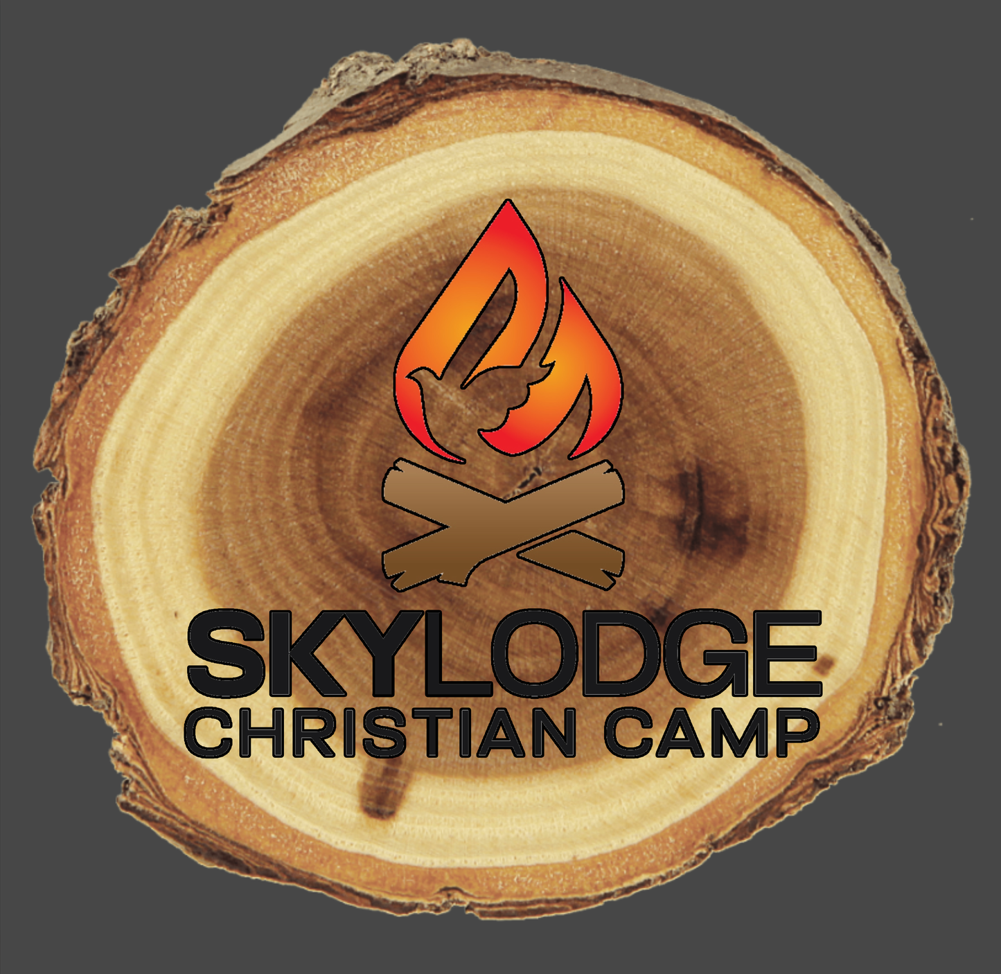 Skylodge Wood round magnet