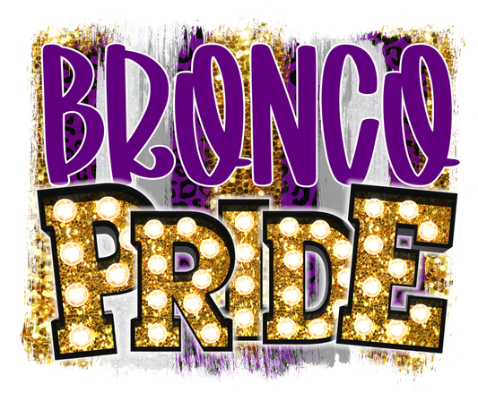 ORANGEVILLE BRONCOS, Bronco Pride Under the Lights