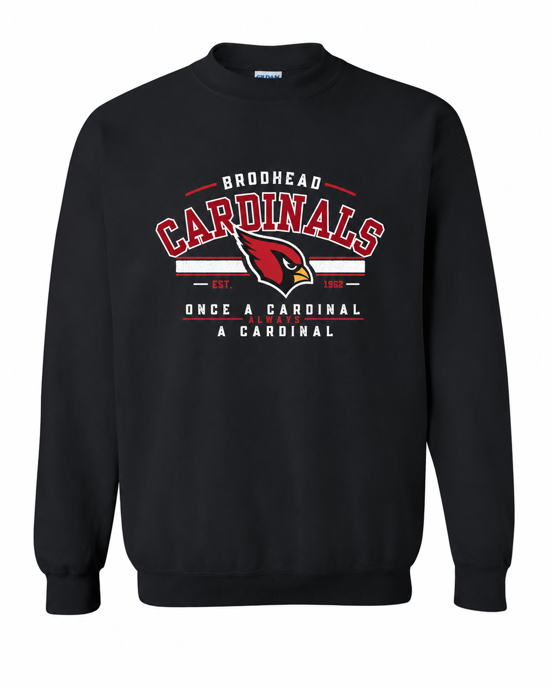 Once A Cardinal Always a Carinal